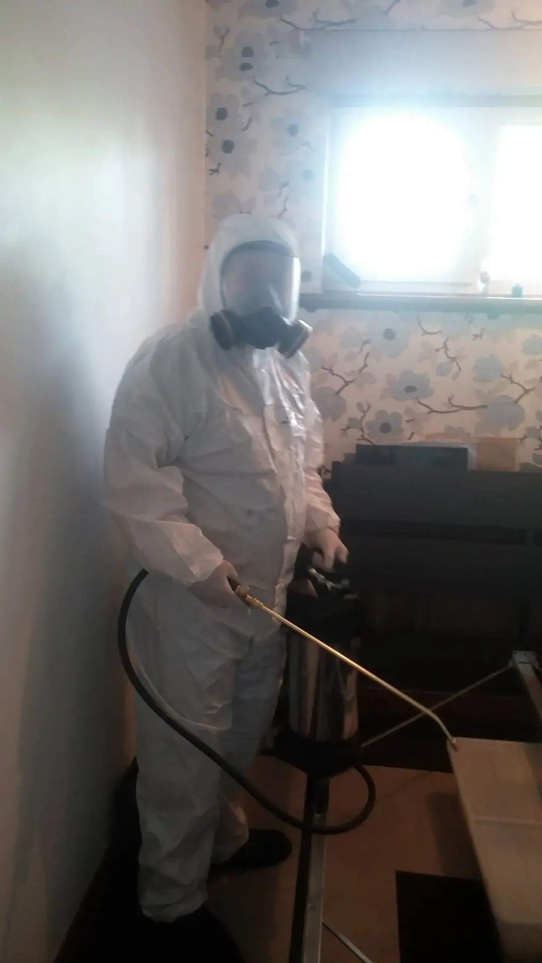 Emergency Pest Control Call-outs Kingston