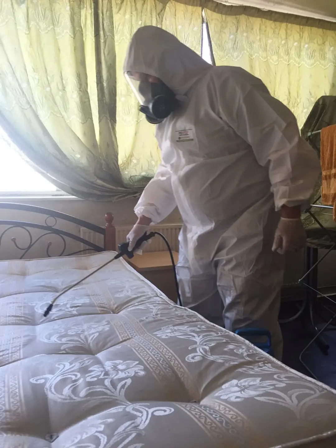 Pest Removal Kingston, Richmond and Paddington