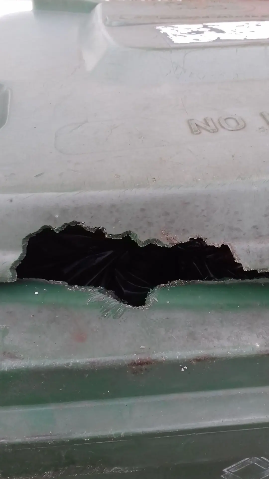 Pest Control Services Kingston, Richmond and Paddington