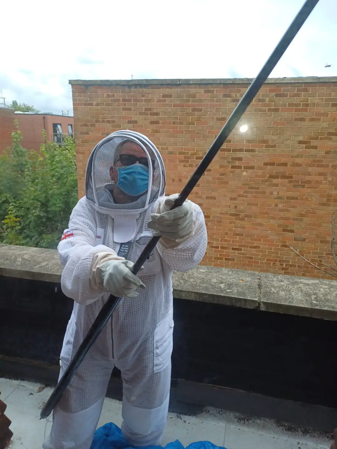 Pest prevention Support and Maintenance Kingston